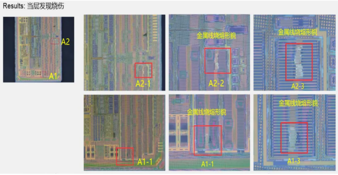 在芯片晶圓M1層可見燒熔點，而芯片其他部位均無形貌異常
